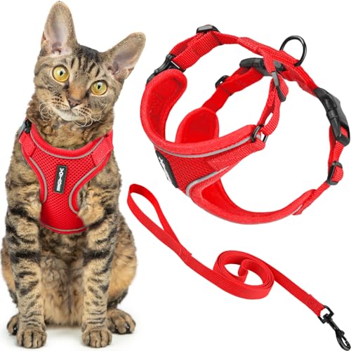 Best Pet Supplies Voyager-Set, ausbruchsicheres Katzengeschirr mit 1,5 m langer Leine, reflektierende Nähte, Neoprengriff, für kleine, mittelgroße und große Katzen, zum Spazierengehen, Rot, Größe XXXS Best Pet Supplies Voyager-Set, ausbruchsicheres Katzengeschirr mit 1,5 m langer Leine, reflektierende Nähte, Neoprengriff, für kleine, mittelgroße und große Katzen, zum Spazierengehen, Rot, Größe XXXS von Best Pet Supplies