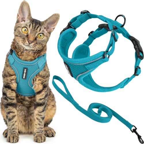 Best Pet Supplies Voyager-Set, ausbruchsicheres Katzengeschirr mit 1,5 m langer Leine, reflektierende Nähte, Neoprengriff, für kleine, mittelgroße und große Katzen, zum Spazierengehen, Türkis, Größe S von Best Pet Supplies
