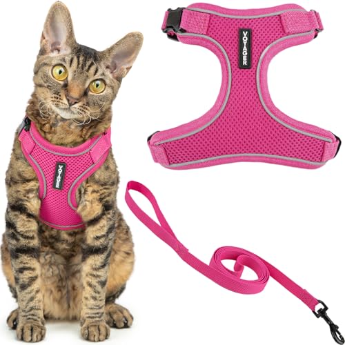 Best Pet Supplies Voyager-Set, ausbruchsicheres Katzengeschirr mit Leine, reflektierende Nähte, Neoprengriff, 1,5 m lang, für kleine, mittelgroße und große Katzen, zum Spazierengehen, Fuchsia, Größe S von Best Pet Supplies