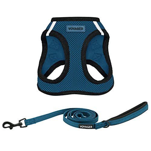 Best Pet Supplies Voyager Step-In Air Allwetter-Netzgeschirr und reflektierender Hundegeschirr, 1,5 m, mit Neoprengriff, für kleine, mittelgroße und große Hunderassen, Blaue Basis, XXXS Best Pet Supplies Voyager Step-In Air Allwetter-Netzgeschirr und reflektierender Hundegeschirr, 1,5 m, mit Neoprengriff, für kleine, mittelgroße und große Hunderassen, Blaue Basis, XXXS von Best Pet Supplies
