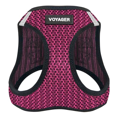 Best Pet Supplies Allwetter-Hundegeschirr, Mesh, reflektierend, kein Ziehen, für kleine mittelgroße Hunde, Katzen, mit Klettverschluss, Schnalle, Doppel-D-Ringe, Fuchsia, 2-farbig, S von Best Pet Supplies
