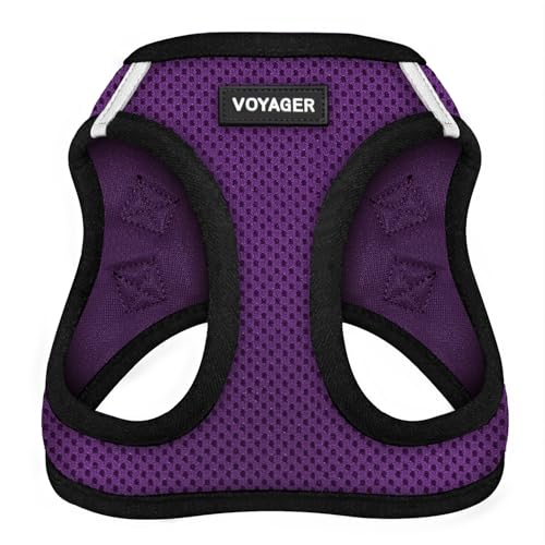 Best Pet Supplies Voyager Step-In Air Hundegeschirr – Allwetter-Netzgewebe für kleine und mittelgroße Hunde – Violette Basis, M von Best Pet Supplies