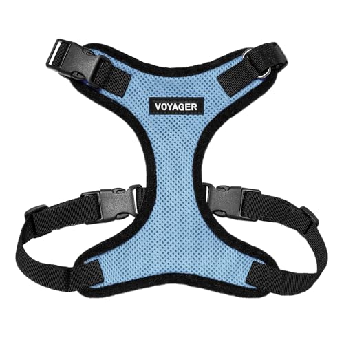 Best Pet Supplies Voyager Step-In Lock Haustiergeschirr – Allwetter-Netz, verstellbares Step-in-Geschirr für Katzen und Hunde – Babyblau/Schwarzer Rand, S Best Pet Supplies Voyager Step-In Lock Haustiergeschirr – Allwetter-Netz, verstellbares Step-in-Geschirr für Katzen und Hunde – Babyblau/Schwarzer Rand, S von Best Pet Supplies