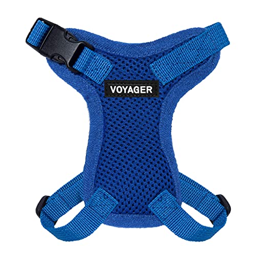 Voyager Step-in Lock Katzengeschirr und reflektierende Katzenleine mit Neoprengriff by Best Pet Supplies - Unterstützt kleine, mittelgroße und große Katzenrassen, Königsblau, size XXS - 1,5 m Voyager Step-in Lock Katzengeschirr und reflektierende Katzenleine mit Neoprengriff by Best Pet Supplies - Unterstützt kleine, mittelgroße und große Katzenrassen, Königsblau, size XXS - 1,5 m von Best Pet Supplies