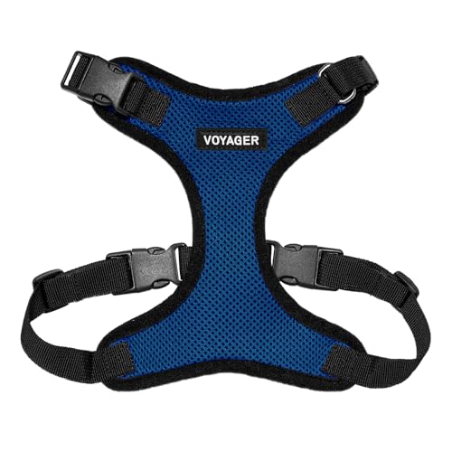 Best Pet Supplies Voyager Step-In Lock Haustiergeschirr – Allwetter-Netz, verstellbares Step-in-Geschirr für Katzen und Hunde – Königsblau/Schwarzer Rand, XL Best Pet Supplies Voyager Step-In Lock Haustiergeschirr – Allwetter-Netz, verstellbares Step-in-Geschirr für Katzen und Hunde – Königsblau/Schwarzer Rand, XL von Best Pet Supplies