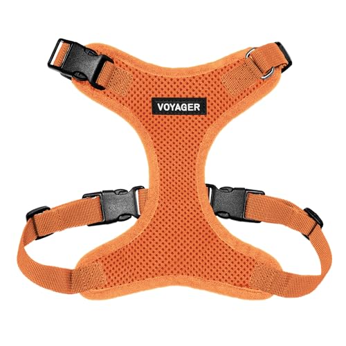 Best Pet Supplies Voyager Step-In Lock Haustiergeschirr – Allwetter-Netz, verstellbares Step-in-Geschirr für Katzen und Hunde – Orange, M von Best Pet Supplies