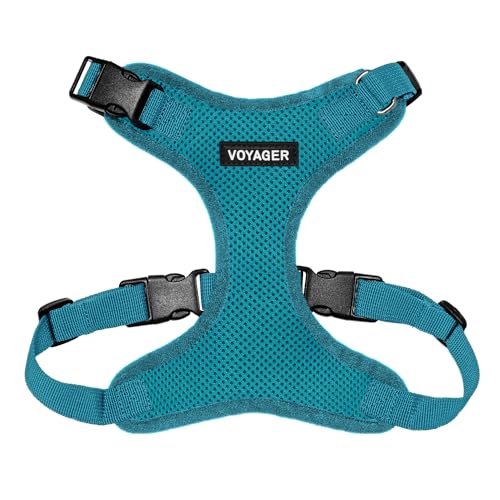 Best Pet Supplies Voyager Step-In Lock Haustiergeschirr – Allwetter-Netz, verstellbares Step-in-Geschirr für Katzen und Hunde – Türkis, L Best Pet Supplies Voyager Step-In Lock Haustiergeschirr – Allwetter-Netz, verstellbares Step-in-Geschirr für Katzen und Hunde – Türkis, L von Best Pet Supplies