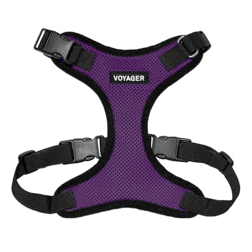 Best Pet Supplies Voyager Step-In Lock Haustiergeschirr – Allwetter-Netz, verstellbares Step-in-Geschirr für Katzen und Hunde – Violett/Schwarzer Rand, XL Best Pet Supplies Voyager Step-In Lock Haustiergeschirr – Allwetter-Netz, verstellbares Step-in-Geschirr für Katzen und Hunde – Violett/Schwarzer Rand, XL von Best Pet Supplies