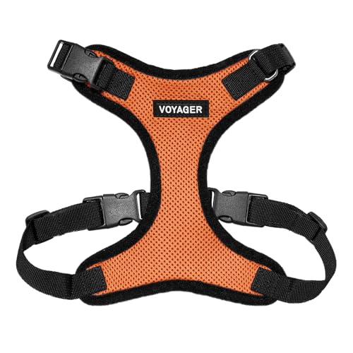 Best Pet Supplies Voyager Step-In Lock Haustiergeschirr – Allwetter-Netz, verstellbares Step-in-Geschirr für Katzen und Hunde – orange/schwarzer Rand, M von Best Pet Supplies