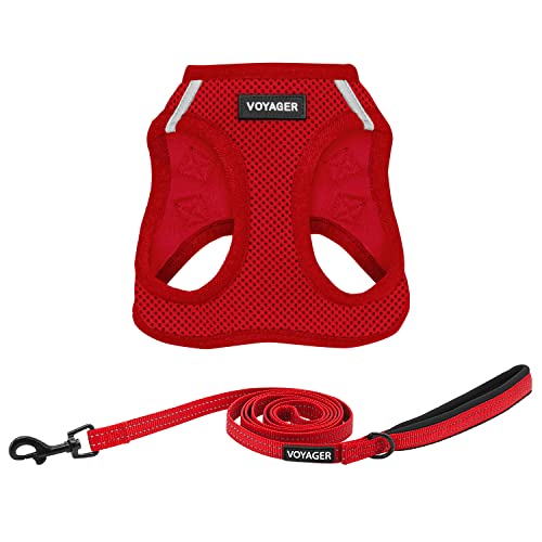 Best Pet Supplies Voyager Step-in Air Allwetter-Mesh-Geschirr und reflektierende Hundeleine, Kombination mit Neopren-Griff, für kleine, mittelgroße und große Hunderassen, Größe L Best Pet Supplies Voyager Step-in Air Allwetter-Mesh-Geschirr und reflektierende Hundeleine, Kombination mit Neopren-Griff, für kleine, mittelgroße und große Hunderassen, Größe L von Best Pet Supplies