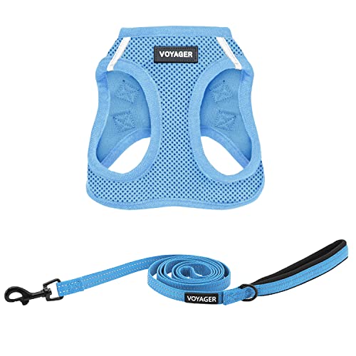 Best Pet Supplies Voyager Step-in Air Allwetter-Mesh-Geschirr und reflektierende Hundeleine, Kombination mit Neopren-Griff, für kleine, mittelgroße und große Hunderassen, Größe XL Best Pet Supplies Voyager Step-in Air Allwetter-Mesh-Geschirr und reflektierende Hundeleine, Kombination mit Neopren-Griff, für kleine, mittelgroße und große Hunderassen, Größe XL von Best Pet Supplies