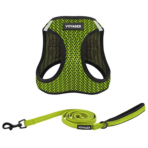 Best Pet Supplies Voyager Step-in Air Allwetter-Mesh-Geschirr und reflektierende Hundeleine, Kombination mit Neopren-Griff, für kleine, mittelgroße und große Hunderassen, Limettengrün (zweifarbig), M Best Pet Supplies Voyager Step-in Air Allwetter-Mesh-Geschirr und reflektierende Hundeleine, Kombination mit Neopren-Griff, für kleine, mittelgroße und große Hunderassen, Limettengrün (zweifarbig), M von Best Pet Supplies