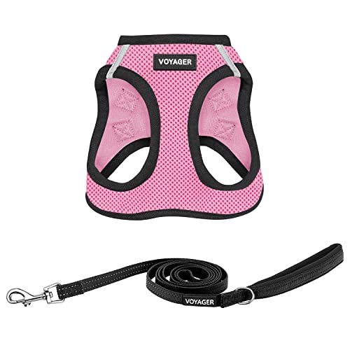 Best Pet Supplies Voyager Step-in Air Allwetter-Mesh-Geschirr und reflektierende Hundeleine, Kombination mit Neopren-Griff, für kleine, mittelgroße und große Hunderassen, rosa Basis, XS Best Pet Supplies Voyager Step-in Air Allwetter-Mesh-Geschirr und reflektierende Hundeleine, Kombination mit Neopren-Griff, für kleine, mittelgroße und große Hunderassen, rosa Basis, XS von Best Pet Supplies