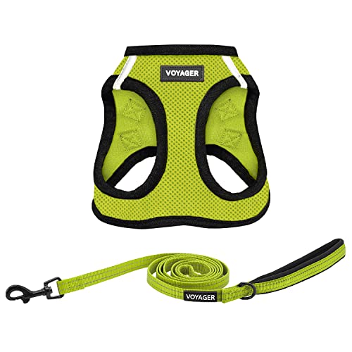 Best Pet Supplies Voyager Step-in Air Allwetter-Netzgeschirr und reflektierende Hundeleine, 152 cm, Neopren-Griff, für kleine, mittelgroße und große Hunderassen, Größe L Best Pet Supplies Voyager Step-in Air Allwetter-Netzgeschirr und reflektierende Hundeleine, 152 cm, Neopren-Griff, für kleine, mittelgroße und große Hunderassen, Größe L von Best Pet Supplies
