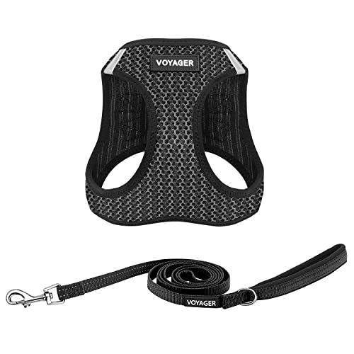 Best Pet Supplies Voyager Step-in Air Allwetter-Netzgeschirr und reflektierende Hundeleine, Kombination mit Neopren-Griff, für kleine, mittelgroße und große Rassenwelpen, Grau (zweifarbig), S von Best Pet Supplies