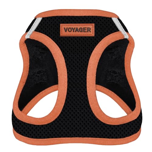 Best Pet Supplies Voyager Step-in Air Hundegeschirr, Allwetter-Netzgewebe, Step-in-Weste, Geschirr für kleine und mittelgroße Hunde, orangefarbener Rand, Größe L Best Pet Supplies Voyager Step-in Air Hundegeschirr, Allwetter-Netzgewebe, Step-in-Weste, Geschirr für kleine und mittelgroße Hunde, orangefarbener Rand, Größe L von Best Pet Supplies
