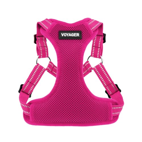 Voyager Verstellbares Hundegeschirr mit Reflektorstreifen by Best Pet Supplies - Strapazierfähige Ganzkörperweste ohne Zugkraft mit Leinen-D-Ring, atmungsaktiv, Fuchsia, size S Voyager Verstellbares Hundegeschirr mit Reflektorstreifen by Best Pet Supplies - Strapazierfähige Ganzkörperweste ohne Zugkraft mit Leinen-D-Ring, atmungsaktiv, Fuchsia, size S von Best Pet Supplies