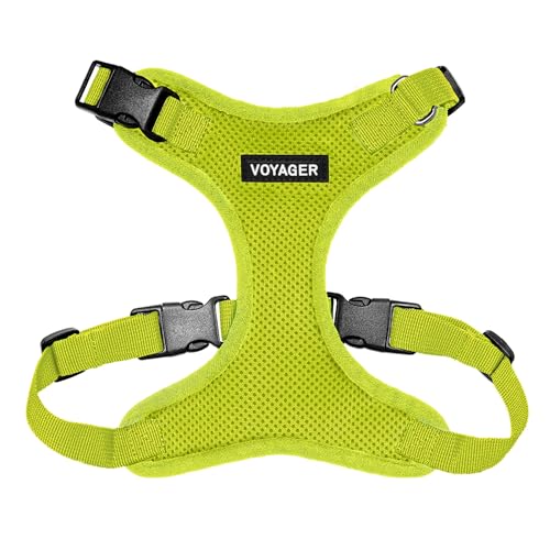 Best Pet Supplies Voyager Step-in Lock Haustiergeschirr – Allwetter-Netz, verstellbares Step-in-Geschirr für Katzen und Hunde – Limettengrün, M Best Pet Supplies Voyager Step-in Lock Haustiergeschirr – Allwetter-Netz, verstellbares Step-in-Geschirr für Katzen und Hunde – Limettengrün, M von Best Pet Supplies
