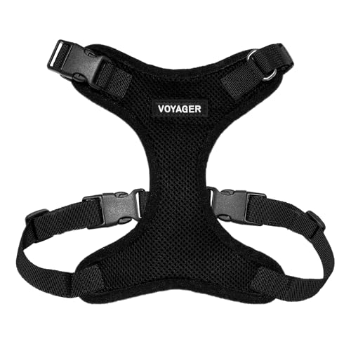 Best Pet Supplies Voyager Step-in Lock Haustiergeschirr – Allwetter-Netz, verstellbares Step-in-Geschirr für Katzen und Hunde – Schwarz, M Best Pet Supplies Voyager Step-in Lock Haustiergeschirr – Allwetter-Netz, verstellbares Step-in-Geschirr für Katzen und Hunde – Schwarz, M von Best Pet Supplies