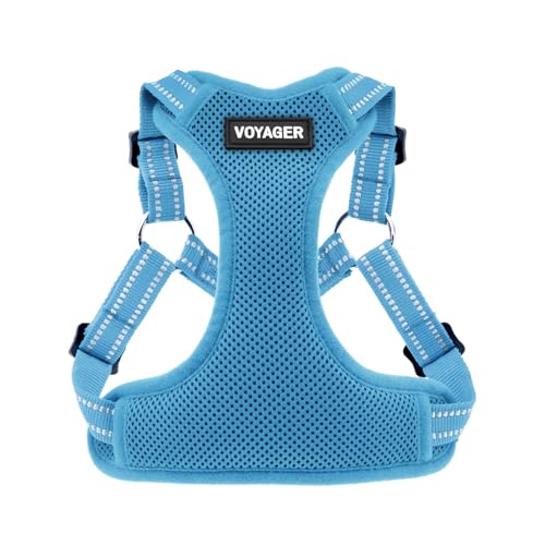 Voyager Verstellbares Hundegeschirr mit Reflektorstreifen by Best Pet Supplies - Strapazierfähige Ganzkörperweste ohne Zugkraft mit Leinen-D-Ring, atmungsaktiv, Babyblau, size S Voyager Verstellbares Hundegeschirr mit Reflektorstreifen by Best Pet Supplies - Strapazierfähige Ganzkörperweste ohne Zugkraft mit Leinen-D-Ring, atmungsaktiv, Babyblau, size S von Best Pet Supplies