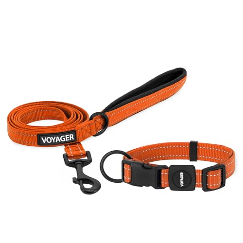 Best Pet Supplies Voyager Verstellbares Nylon-Hundehalsband und Hundeleine, weich gepolsterter Griff und Hals, mit reflektierenden Nähten für Welpen, kleine, mittelgroße und große Hunde, Orange Best Pet Supplies Voyager Verstellbares Nylon-Hundehalsband und Hundeleine, weich gepolsterter Griff und Hals, mit reflektierenden Nähten für Welpen, kleine, mittelgroße und große Hunde, Orange von Best Pet Supplies