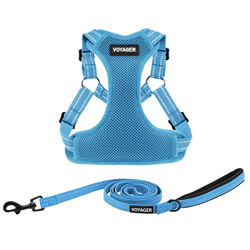 Best Pet Supplies Voyager verstellbares Hundegeschirr mit reflektierenden Streifen für Spaziergänge, robuste Ganzkörper, keine Zieh-Weste mit Leine, D-Ring, atmungsaktiv, Allwettergeschirr (Babyblau), Best Pet Supplies Voyager verstellbares Hundegeschirr mit reflektierenden Streifen für Spaziergänge, robuste Ganzkörper, keine Zieh-Weste mit Leine, D-Ring, atmungsaktiv, Allwettergeschirr (Babyblau), von Best Pet Supplies