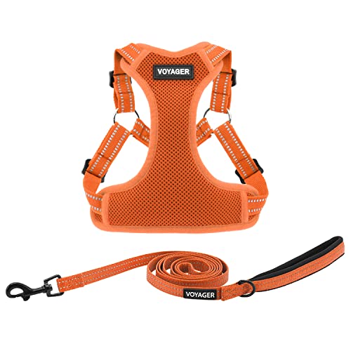 Best Pet Supplies Voyager verstellbares Hundegeschirr mit reflektierenden Streifen für Spaziergänge, robuste Ganzkörperweste ohne Ziehen, mit D-Ring, atmungsaktiv, Allwetter-Geschirr (Orange), S von Best Pet Supplies