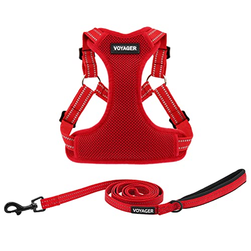 Best Pet Supplies Voyager verstellbares Hundegeschirr mit reflektierenden Streifen für Spaziergänge, robuste Ganzkörperweste ohne Ziehen, mit D-Ring, atmungsaktiv, Allwetterkleidung, Rot, S Best Pet Supplies Voyager verstellbares Hundegeschirr mit reflektierenden Streifen für Spaziergänge, robuste Ganzkörperweste ohne Ziehen, mit D-Ring, atmungsaktiv, Allwetterkleidung, Rot, S von Best Pet Supplies