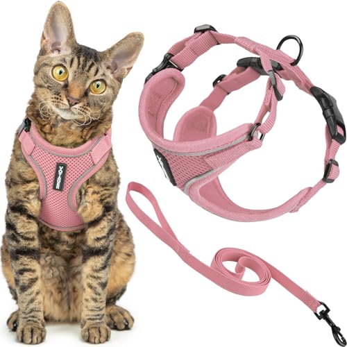 Voyager Ausbruchsicheres Katzengeschirr und Leine, Set mit reflektierenden Nähten, Neoprengriff, 1,5 m – unterstützt kleine, mittelgroße und große Katzen, Kätzchen zum Spazierengehen von Best Pet Voyager Ausbruchsicheres Katzengeschirr und Leine, Set mit reflektierenden Nähten, Neoprengriff, 1,5 m – unterstützt kleine, mittelgroße und große Katzen, Kätzchen zum Spazierengehen von Best Pet von Best Pet Supplies