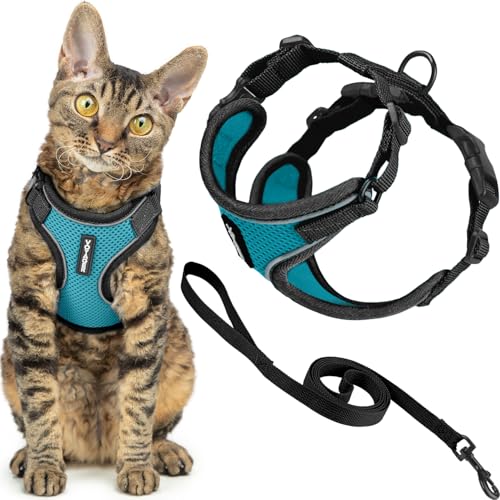 Voyager Ausbruchsicheres Katzengeschirr und Leine, Set mit reflektierenden Nähten, Neoprengriff, 1,5 m – unterstützt kleine, mittelgroße und große Katzen, Kätzchen zum Spazierengehen von Best Pet Voyager Ausbruchsicheres Katzengeschirr und Leine, Set mit reflektierenden Nähten, Neoprengriff, 1,5 m – unterstützt kleine, mittelgroße und große Katzen, Kätzchen zum Spazierengehen von Best Pet von Best Pet Supplies