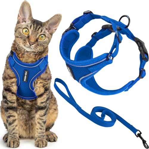 Voyager Ausbruchsicheres Katzengeschirr und Leine, Set mit reflektierenden Nähten, Neoprengriff, 1,5 m – unterstützt kleine, mittelgroße und große Katzen, Kätzchen zum Spazierengehen von Best Pet Voyager Ausbruchsicheres Katzengeschirr und Leine, Set mit reflektierenden Nähten, Neoprengriff, 1,5 m – unterstützt kleine, mittelgroße und große Katzen, Kätzchen zum Spazierengehen von Best Pet von Best Pet Supplies