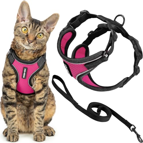 Voyager Katzengeschirr und Leine, Set mit reflektierenden Nähten, Neoprengriff, 1,5 m – unterstützt kleine, mittelgroße und große Katzen, Kätzchen zum Spazierengehen von Best Pet Supplies - Voyager Katzengeschirr und Leine, Set mit reflektierenden Nähten, Neoprengriff, 1,5 m – unterstützt kleine, mittelgroße und große Katzen, Kätzchen zum Spazierengehen von Best Pet Supplies - von Best Pet Supplies