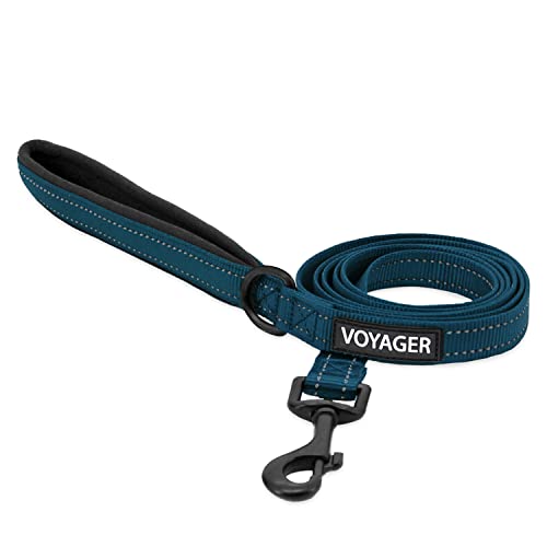 Voyager Reflektierende Hundeleine mit Neopren-Griff, 1,5 m lang, unterstützt kleine, mittelgroße und große Rassen, niedlich und strapazierfähig für Gehen, Laufen und Training, Blau, M von Best Pet Supplies