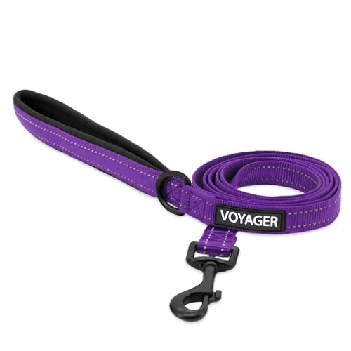 Voyager Reflektierende Hundeleine mit Neopren-Griff, 1,5 m lang, unterstützt kleine, mittelgroße und große Rassenwelpen, niedlich und strapazierfähig zum Spazierengehen, Laufen und Training, Lila (Leine), S von Best Pet Supplies