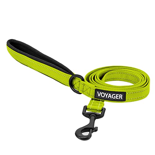 Voyager Reflektierende Hundeleine mit Neoprengriff, 1,5 m lang, unterstützt kleine, mittelgroße und große Rassen, niedlich und robust zum Gehen, Laufen und Training, Limettengrün (Line), M von Best Pet Supplies