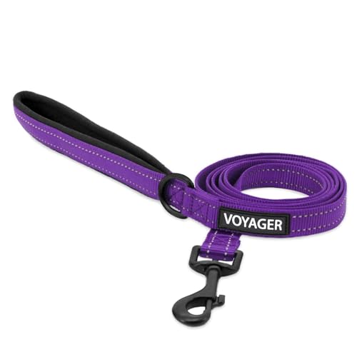 Voyager Reflektierende Hundeleine mit Neoprengriff, 1,5 m lang, unterstützt kleine, mittelgroße und große Rassen, niedlich und strapazierfähig zum Gehen, Laufen und Training, Lila (Leash), L von Best Pet Supplies