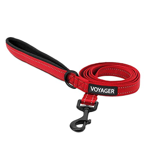 Voyager Reflektierende Hundeleine mit Neoprengriff, 1,5 m lang, unterstützt kleine, mittelgroße und große Rassen, niedlich und strapazierfähig zum Gehen, Laufen und Training, Rot (Leash), S von Best Pet Supplies