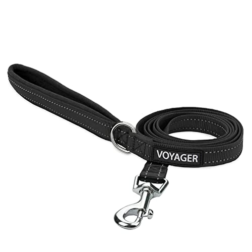 Voyager Reflektierende Hundeleine mit Neoprengriff, 1,8 m lang, unterstützt kleine, mittelgroße und große Rassen, niedlich und strapazierfähig zum Gehen, Laufen und Training, Schwarz, L von Best Pet Supplies