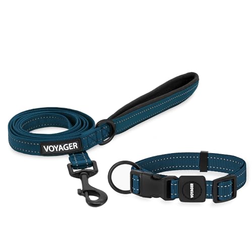 Voyager Reflektierendes Hundehalsband-Set mit Neopren-Griff, unterstützt kleine, mittelgroße und große Rassenwelpen, niedlich und robust zum Spazierengehen, Laufen und Training, Blau, M Voyager Reflektierendes Hundehalsband-Set mit Neopren-Griff, unterstützt kleine, mittelgroße und große Rassenwelpen, niedlich und robust zum Spazierengehen, Laufen und Training, Blau, M von Best Pet Supplies