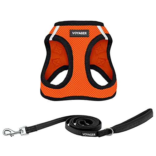 Voyager Step-In Air Allwetter-Netzgeschirr und reflektierender Hunde-Leine, Kombination mit Neoprengriff, für kleine, mittelgroße und große Welpen, von Best Pet Supplies – Orange/schwarzer Rand, Größe Voyager Step-In Air Allwetter-Netzgeschirr und reflektierender Hunde-Leine, Kombination mit Neoprengriff, für kleine, mittelgroße und große Welpen, von Best Pet Supplies – Orange/schwarzer Rand, Größe von Best Pet Supplies