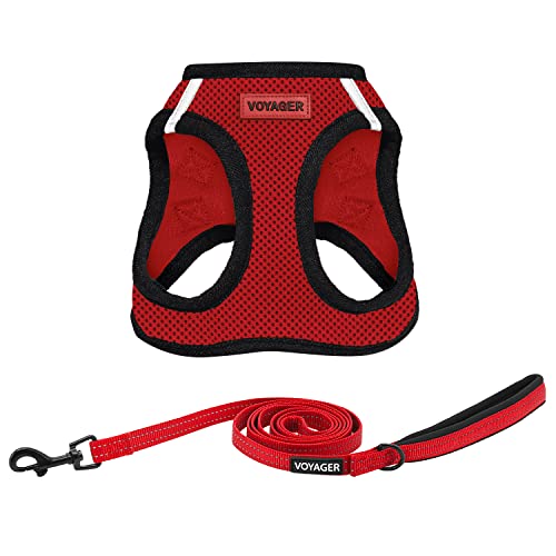 Voyager Step-In Air Allwetter-Netzgeschirr und reflektierender Hunde-Leine, Kombination mit Neoprengriff, für kleine, mittelgroße und große Welpen, von Best Pet Supplies – Rot/Schwarzer Rand, Größe L Voyager Step-In Air Allwetter-Netzgeschirr und reflektierender Hunde-Leine, Kombination mit Neoprengriff, für kleine, mittelgroße und große Welpen, von Best Pet Supplies – Rot/Schwarzer Rand, Größe L von Best Pet Supplies