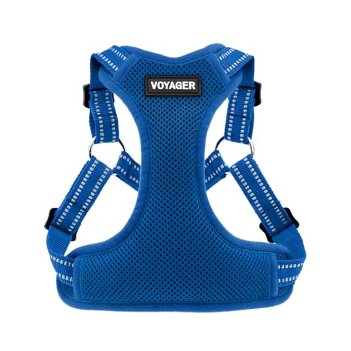 Voyager Verstellbares Hundegeschirr mit Reflektorstreifen by Best Pet Supplies - Strapazierfähige Ganzkörperweste ohne Zugkraft mit Leinen-D-Ring, atmungsaktiv, Königsblau, size S Voyager Verstellbares Hundegeschirr mit Reflektorstreifen by Best Pet Supplies - Strapazierfähige Ganzkörperweste ohne Zugkraft mit Leinen-D-Ring, atmungsaktiv, Königsblau, size S von Best Pet Supplies