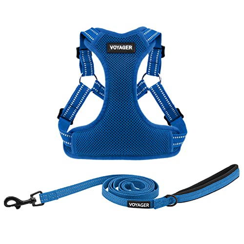Voyager Step-In Flex Hundegeschirr und reflektierende Hundeleine Kombi-Set mit Neoprengriff, 1,8 m lang, unterstützt kleine, mittelgroße und große Rassen Welpen, Königsblau (mit Leine), L von Best Pet Supplies