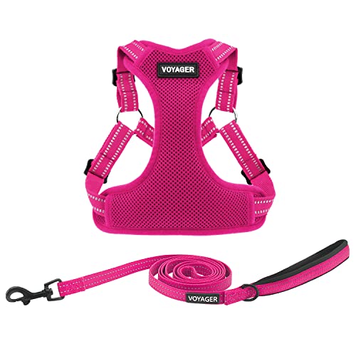 Voyager Step-In Flex Hundegeschirr und reflektierende Hundeleine Kombi-Set mit Neoprengriff 1,8 m lang, unterstützt kleine, mittlere und große Rassen Welpen, Fuchsia (mit Leine), L von Best Pet Supplies