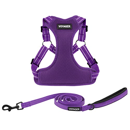 Voyager Step-In Flex Hundegeschirr und reflektierende Hundeleine Kombi-Set mit Neoprengriff 1,8 m lang, unterstützt kleine, mittlere und große Rassen Welpen, lila (mit Leine), L von Best Pet Supplies