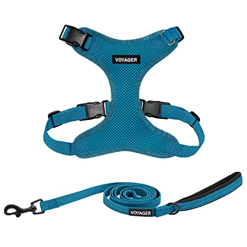 Voyager Step-In Lock Hundegeschirr mit reflektierender Hundeleine, Kombi-Set mit Neopren-Griff, 1,5 m – unterstützt kleine, mittelgroße und große Rassen, Welpen/Katzen von Best Pet Supplies - Türkis, Voyager Step-In Lock Hundegeschirr mit reflektierender Hundeleine, Kombi-Set mit Neopren-Griff, 1,5 m – unterstützt kleine, mittelgroße und große Rassen, Welpen/Katzen von Best Pet Supplies - Türkis, von Best Pet Supplies