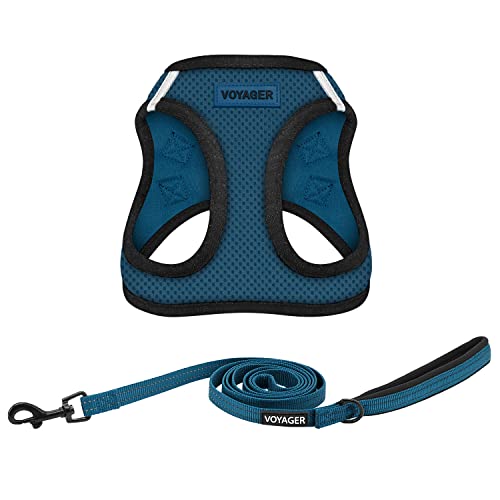Voyager Step-in Air Allwetter-Hundegeschirr und reflektierende Hundeleine, 1,5 m lang, mit Neopren-Griff, für kleine, mittelgroße und große Welpen von Best Pet Supplies – Blau, Größe XXXL Voyager Step-in Air Allwetter-Hundegeschirr und reflektierende Hundeleine, 1,5 m lang, mit Neopren-Griff, für kleine, mittelgroße und große Welpen von Best Pet Supplies – Blau, Größe XXXL von Best Pet Supplies