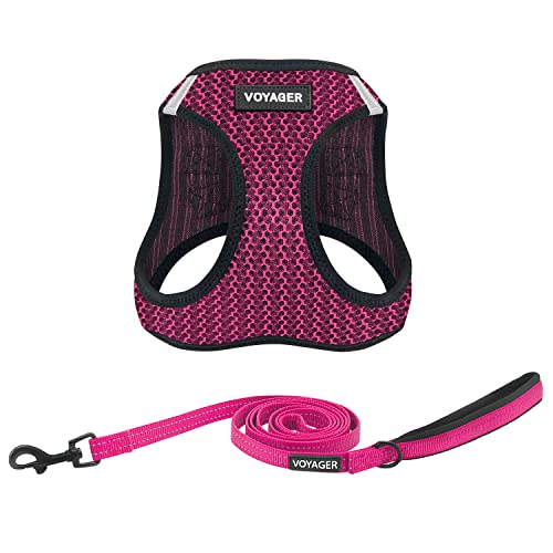 Voyager Step-in Air Allwetter-Hundegeschirr und reflektierende Hundeleine, 1,5 m lang, mit Neopren-Griff, für kleine, mittelgroße und große Welpen von Best Pet Supplies – Fuchsia (zweifarbig), XS von Best Pet Supplies