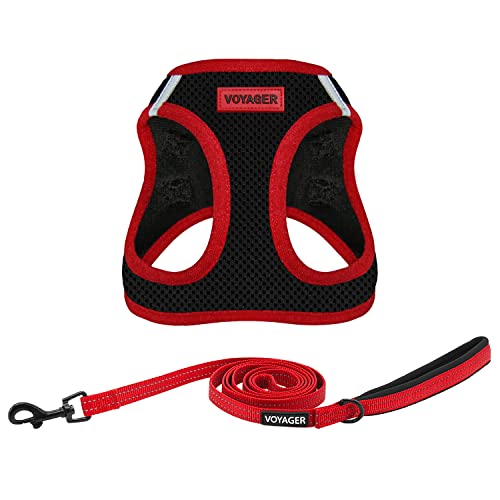Voyager Step-in Air Allwetter-Hundegeschirr und reflektierende Hundeleine, 1,5 m lang, mit Neopren-Griff, für kleine, mittelgroße und große Welpen von Best Pet Supplies – roter Rand, XS Voyager Step-in Air Allwetter-Hundegeschirr und reflektierende Hundeleine, 1,5 m lang, mit Neopren-Griff, für kleine, mittelgroße und große Welpen von Best Pet Supplies – roter Rand, XS von Best Pet Supplies