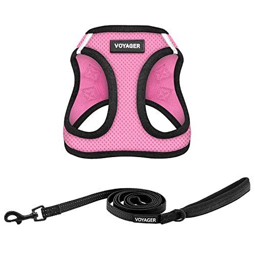 Voyager Step-in-Air Allwetter-Netzgeschirr und reflektierende Hunde-Leine, Kombination mit Neoprengriff, für kleine, mittelgroße und große Welpen, von Best Pet Supplies – Rosa/schwarzer Rand, Größe Voyager Step-in-Air Allwetter-Netzgeschirr und reflektierende Hunde-Leine, Kombination mit Neoprengriff, für kleine, mittelgroße und große Welpen, von Best Pet Supplies – Rosa/schwarzer Rand, Größe von Best Pet Supplies